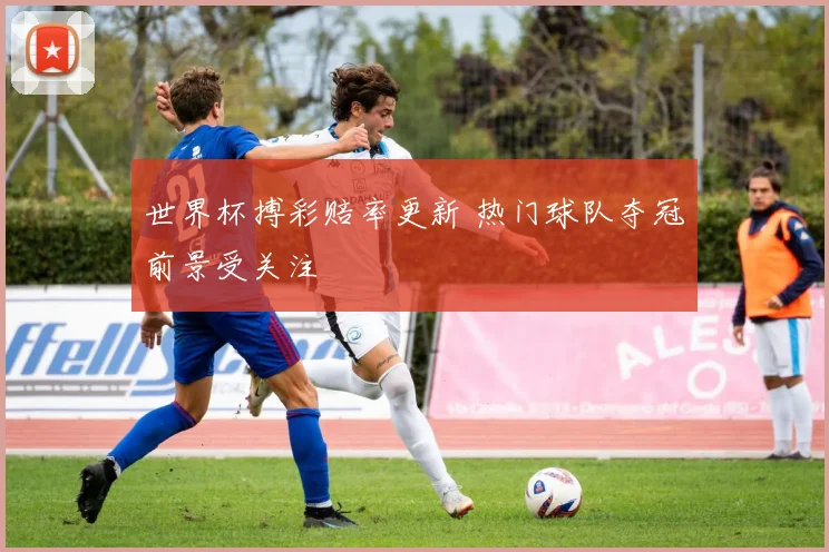 世界杯搏彩赔率更新 热门球队夺冠前景受关注
