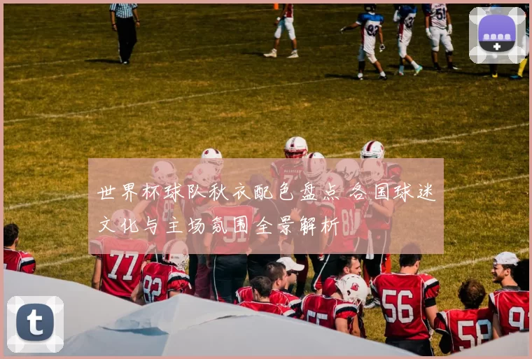 世界杯球队秋衣配色盘点 各国球迷文化与主场氛围全景解析