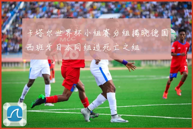 卡塔尔世界杯小组赛分组揭晓德国西班牙日本同组造死亡之组