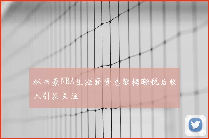 林书豪NBA生涯薪资总额揭晓税后收入引发关注