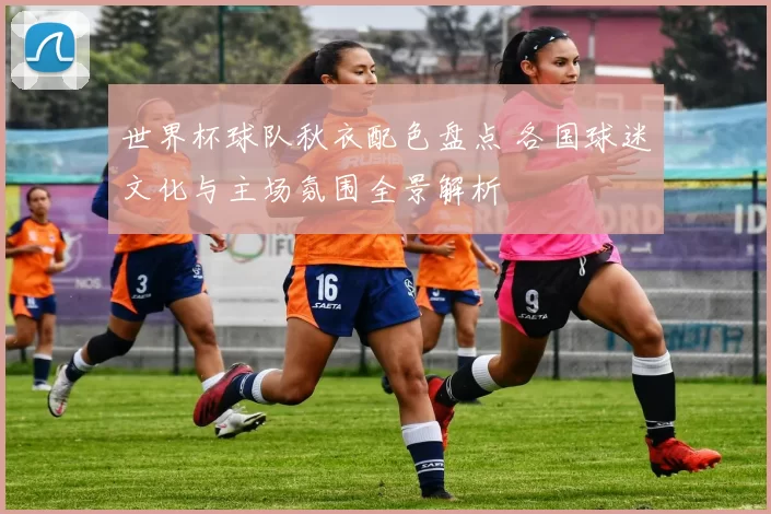 世界杯球队秋衣配色盘点 各国球迷文化与主场氛围全景解析
